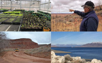 New USDA Grant to Support Climate Resilience Planning in Indian Country