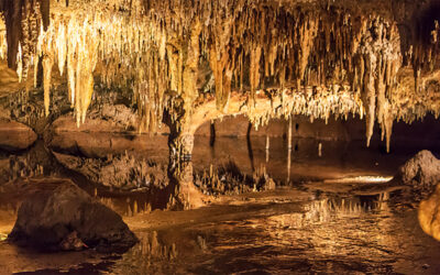 NSHE Secures $750,000 NASA EPSCoR Grant for Research into Underground Ecosystems That Could Inform the Search for Life Beyond Earth