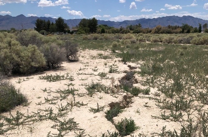 Using Machine Learning to Address Land Subsidence in Pahrump Valley