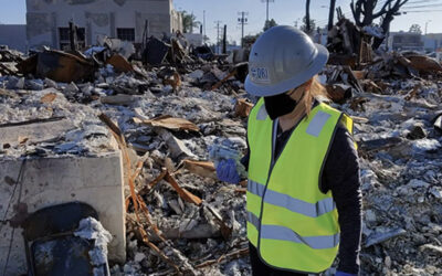 NSF Grant Awarded to Research the Chemistry of Post-fire Soil Water Repellency