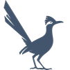 Illustration of a Road Runner bird.