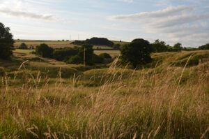 Landscape of Grass covered mounds in the United Kingdom with long grass in the foreground.