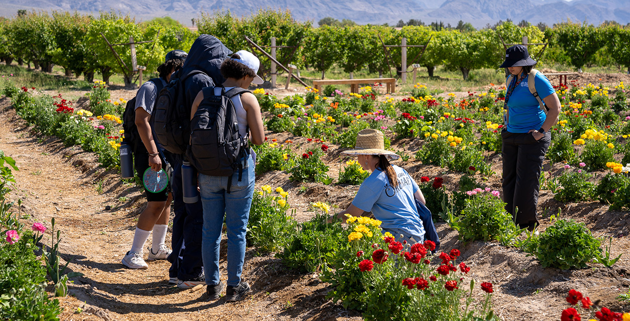 Students in a field of growing flowers with a researcher.