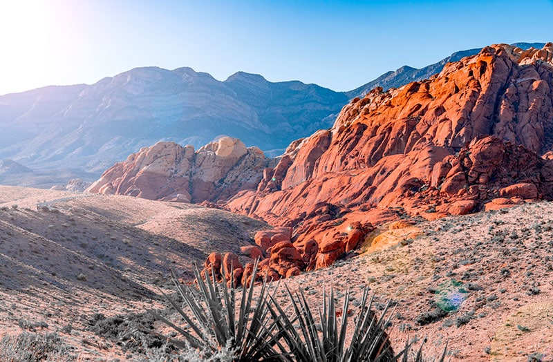 Save Red Rock Partners with DRI to “Make it Rain” in Red Rock Canyon