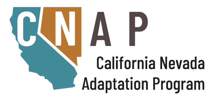 new CNAP logo
