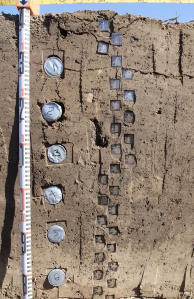 Soil samples being collected with a ruler next to the sample sights to show depth.