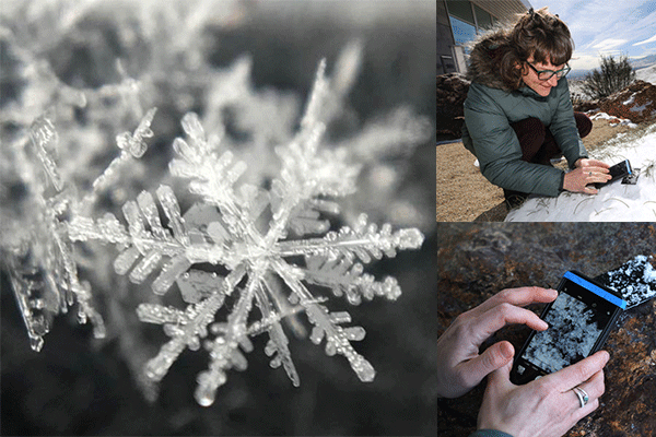 DRI Stories in the Snow Project collects over 400 images from local citizen scientists
