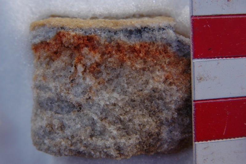 Closeup of one of Henry Sun's Antarctic rock samples, home to unknown species of microorganisms.