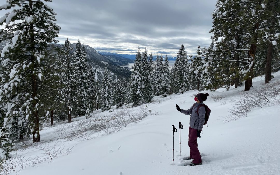 Traditional hydrologic models may misidentify snow as rain, new citizen science data shows