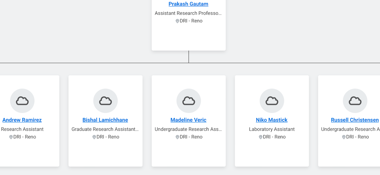 Graphic that illustrates the team hierarchy with Dr. Guatam at the top of the tree.  