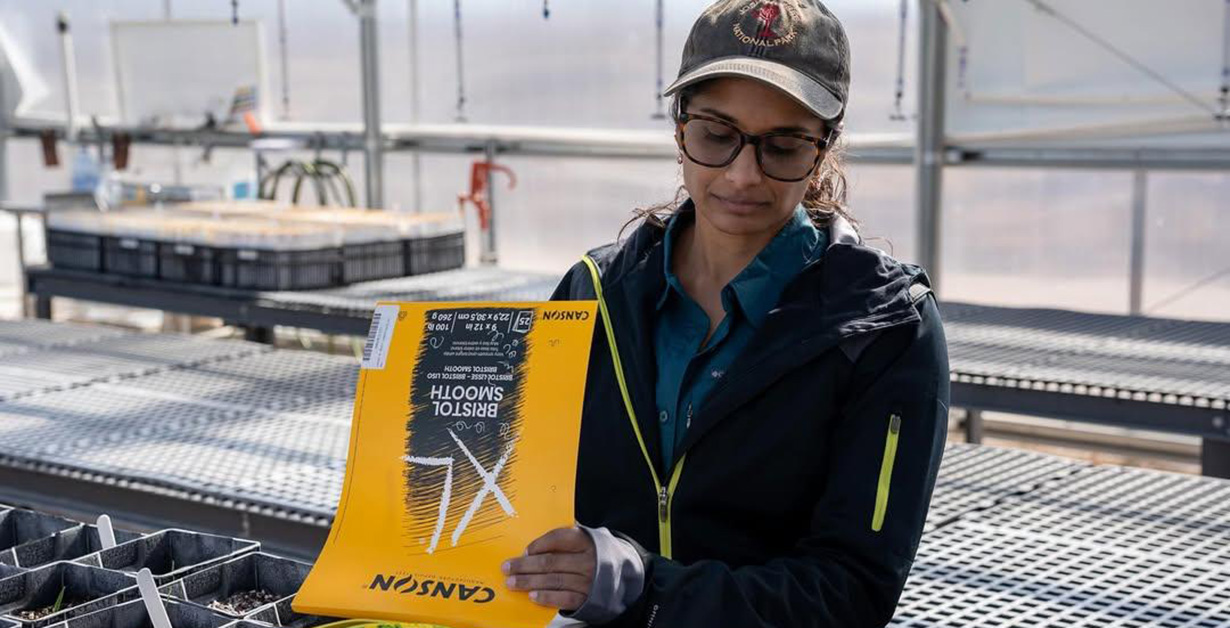 An artist in a greenhouse drawing in a pad the seedlings that have sprouted.