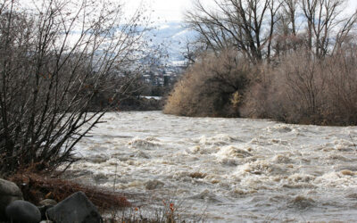 Study Explores Uncertainties in Flood Risk Estimates