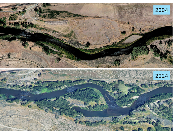 Two images of the same river that show the difference before and after restoration.