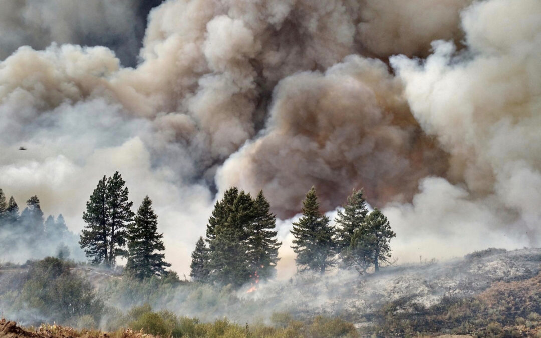 Wildfire Smoke Exposure Linked to Increased Risk of Contracting COVID-19