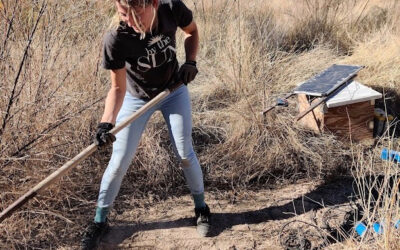 Meet Charlotte van der Nagel, Graduate Researcher