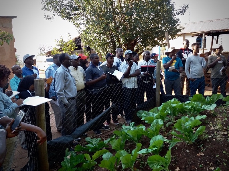 Students from DRI’s WASH Capacity Building Program on a University of eSwatini University-led field trip to a house in the Buka community where wastewater is used to grow vegetables. Credit: Braimah Apambire/DRI.