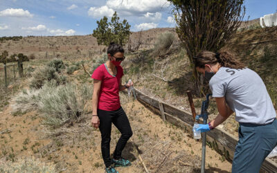 Elevated levels of arsenic and other metals found in Nevada’s private wells