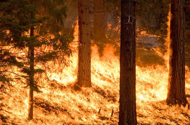 The making of a megafire: Study explores why some wildfires grow fast and furious