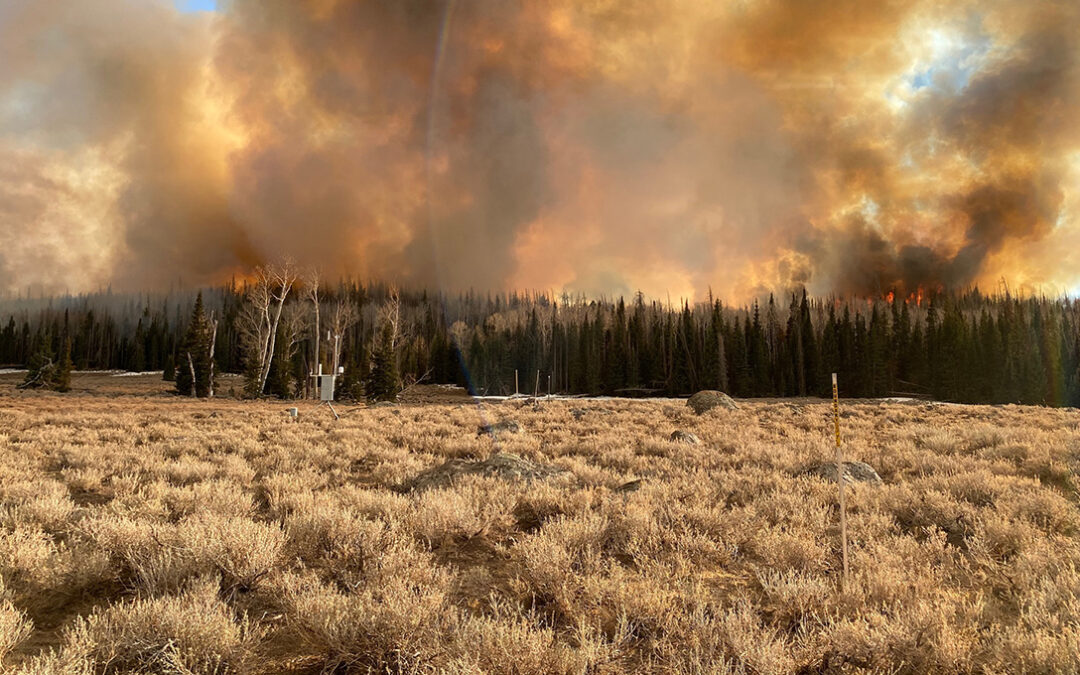 What We Know About Wildfire Risk and Prevention 