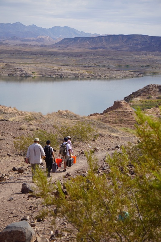 Researchers carry equipment toward a sampling site at the Las Vegas Wash.