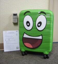 Meet Casey the Green Box