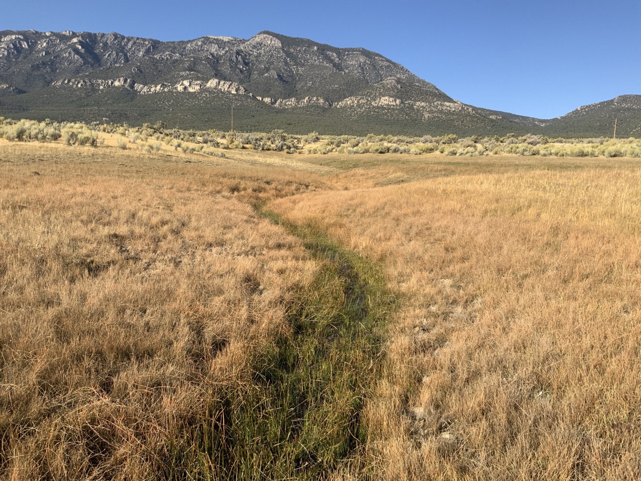 Photo of Grass Springs with mountain in the background