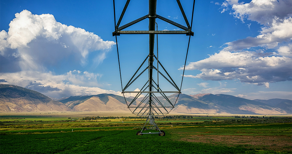 Linear farm sprinkler in a field with mountains in the background.